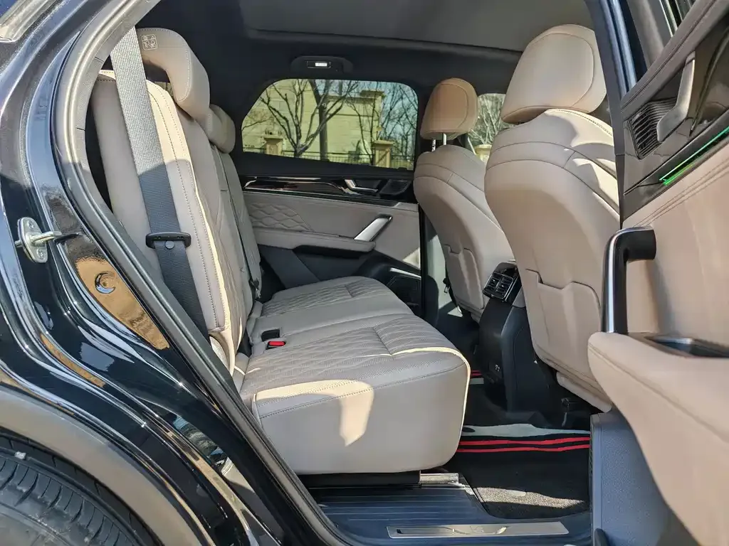 BYD Tang New Energy 2024 из CN, фото 3