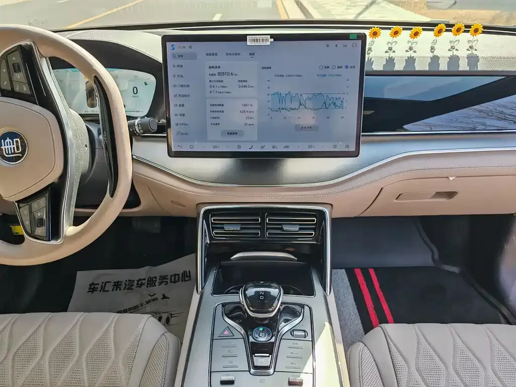 BYD Tang New Energy 2024 из CN, фото 10