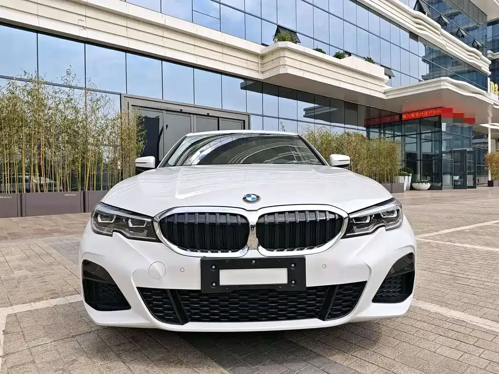 BMW 3 Series 2021 из CN, фото 7