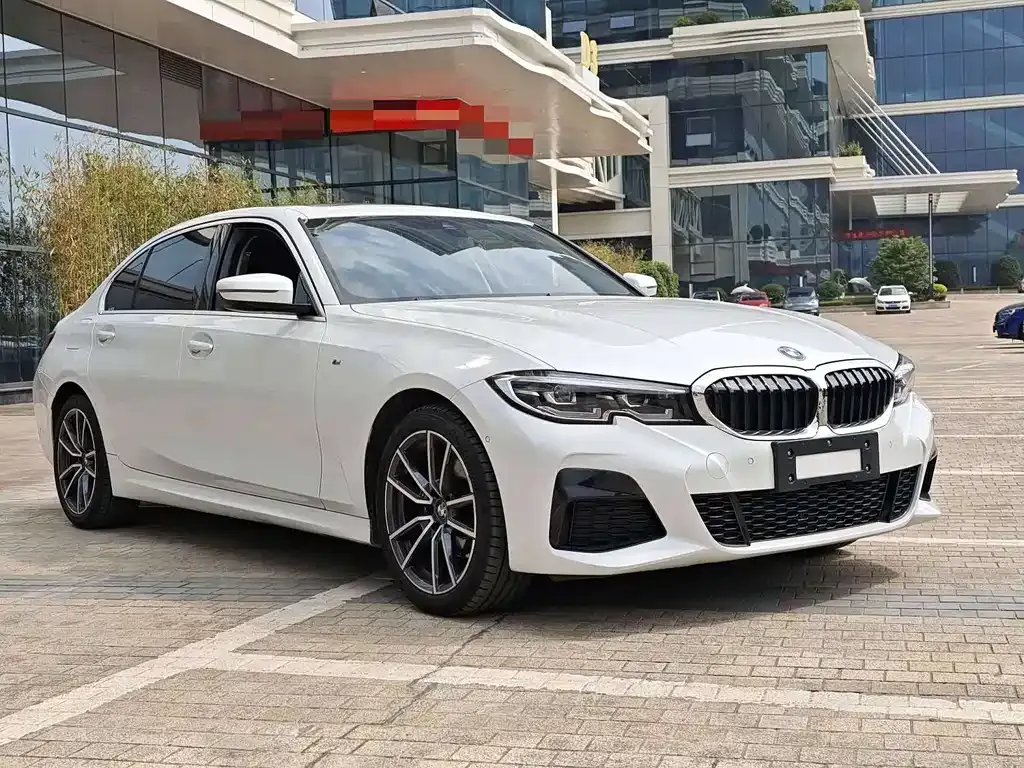 BMW 3 Series 2021 из CN, фото 3