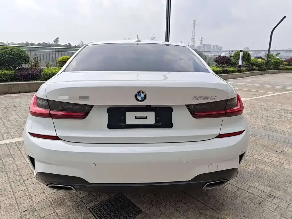 BMW 3 Series 2021 из CN, фото 8