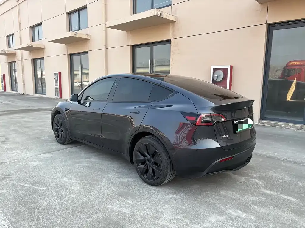 Tesla Model Y — фото 3