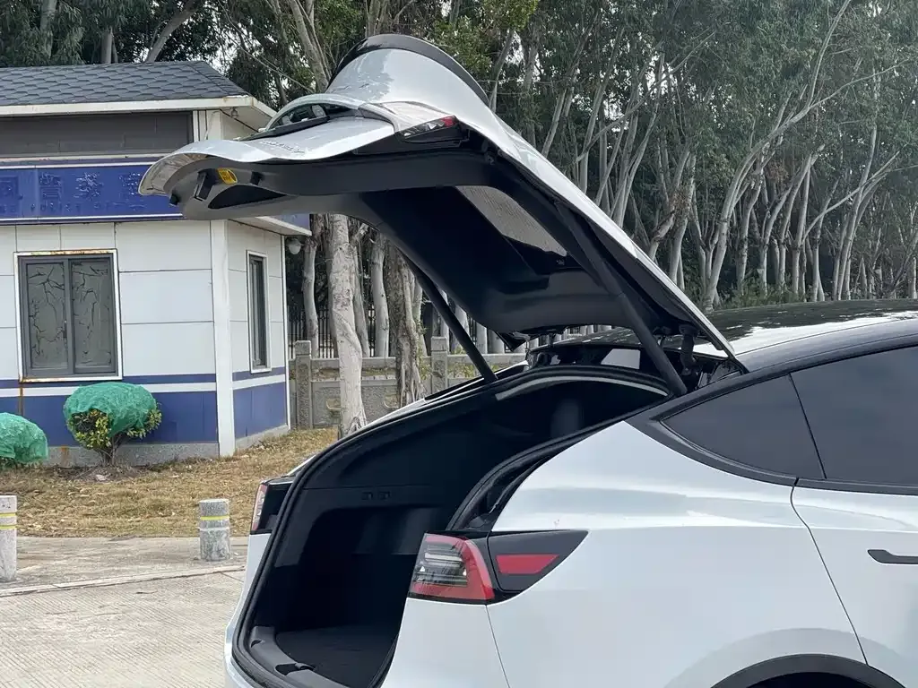 Tesla Model Y 2023 из CN, фото 10
