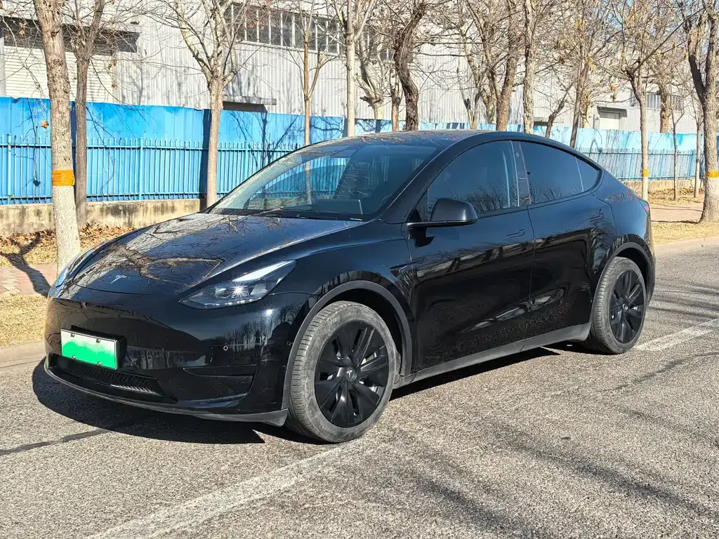Tesla Model Y 2022 из CN, фото 1