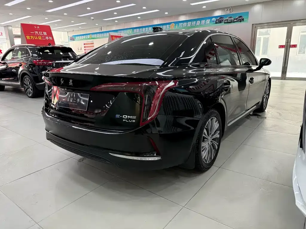 Hongqi E-QM5 2023 из CN, фото 5