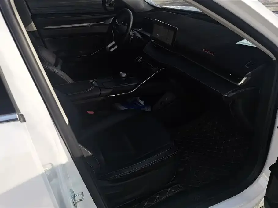 Haval H6 2023 из CN, фото 7