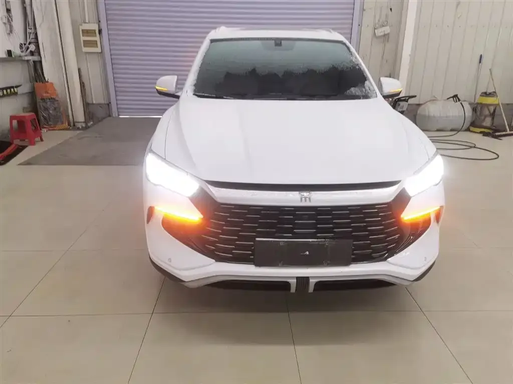 BYD Pro New Energy — фото 2