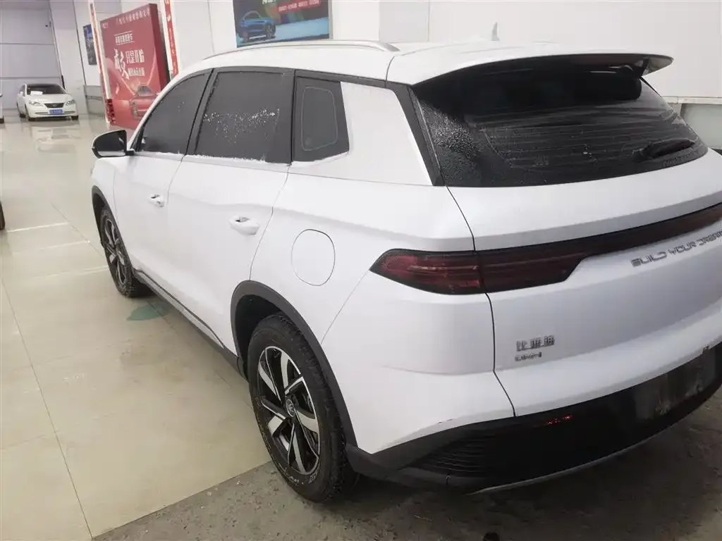 BYD Pro New Energy — фото 6