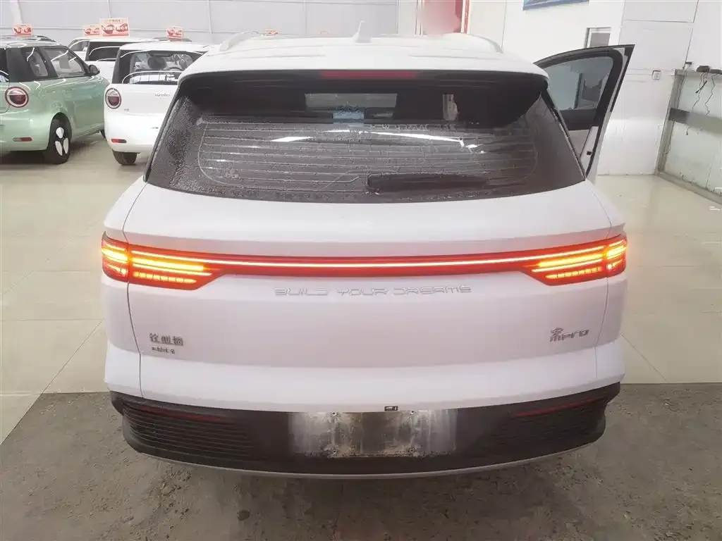 BYD Pro New Energy — фото 4