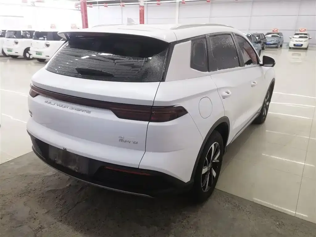 BYD Pro New Energy — фото 10