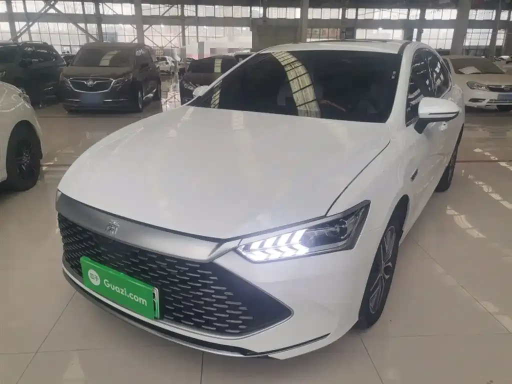 BYD Qin PLUS — фото 2