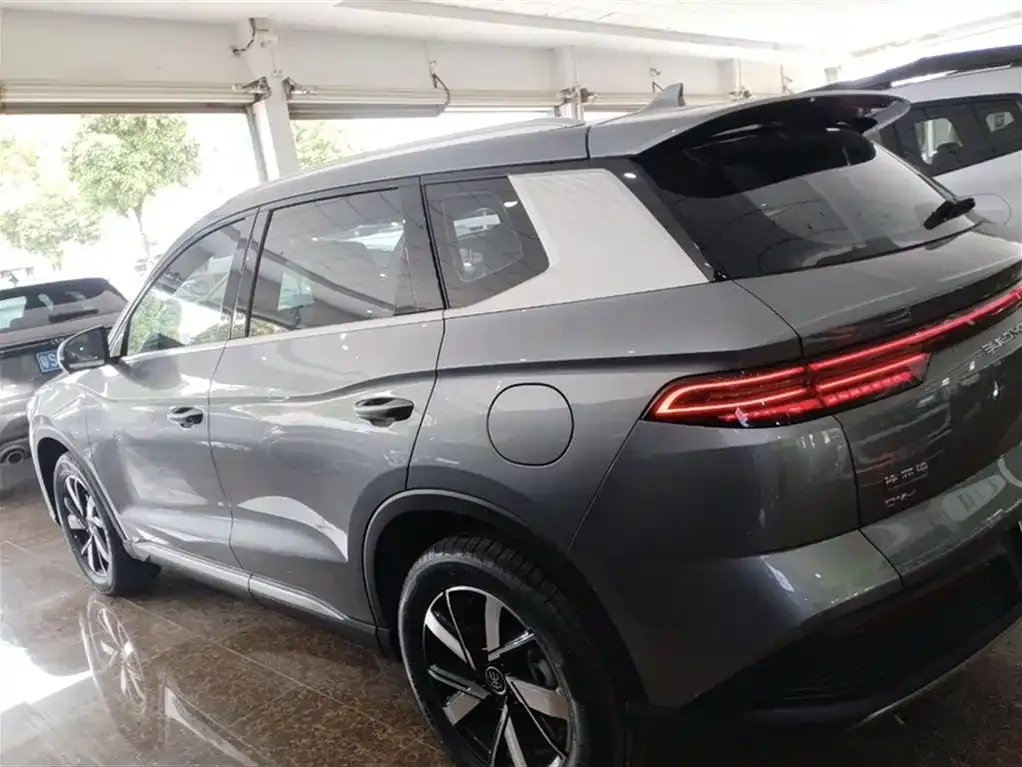 BYD Pro New Energy 2023 из CN, фото 10