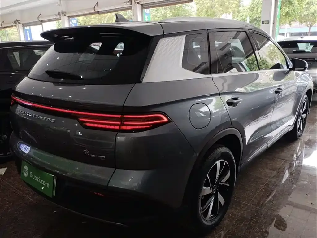 BYD Pro New Energy 2023 из CN, фото 6