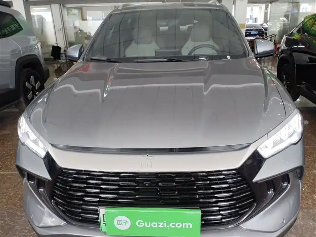 BYD Pro New Energy 2023 из CN, фото 3
