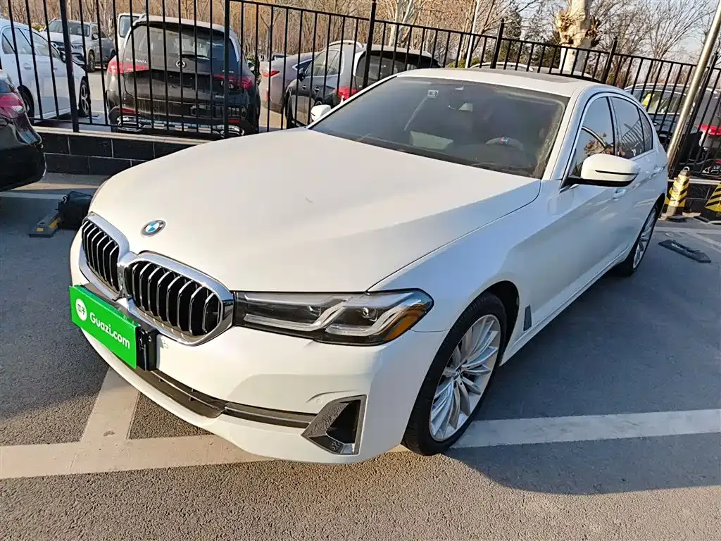 BMW 5 Series 2023 из CN, фото 9