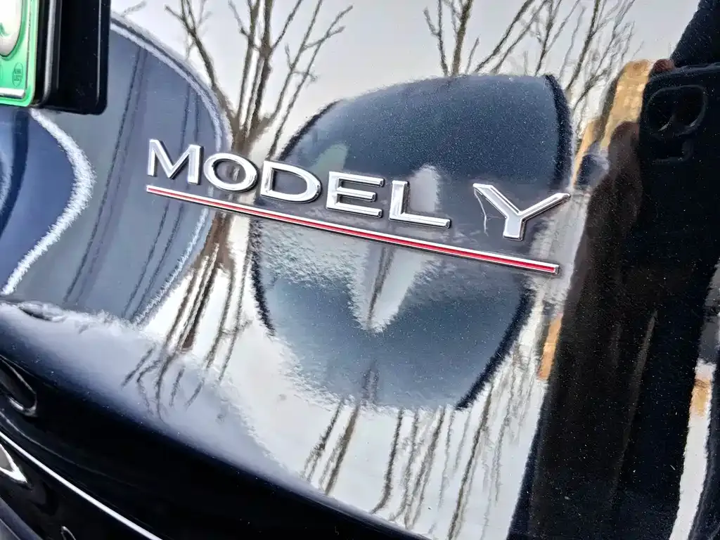 Tesla Model Y — фото 6