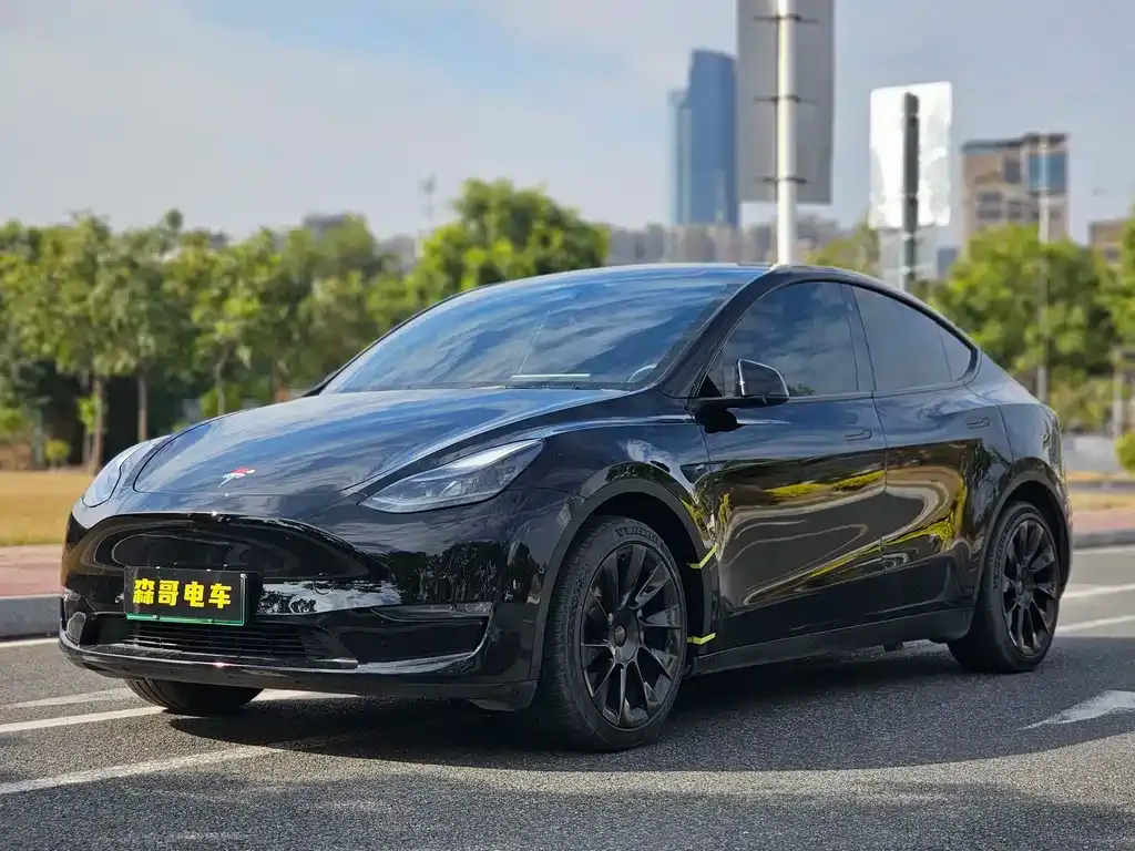 Tesla Model Y — фото 1