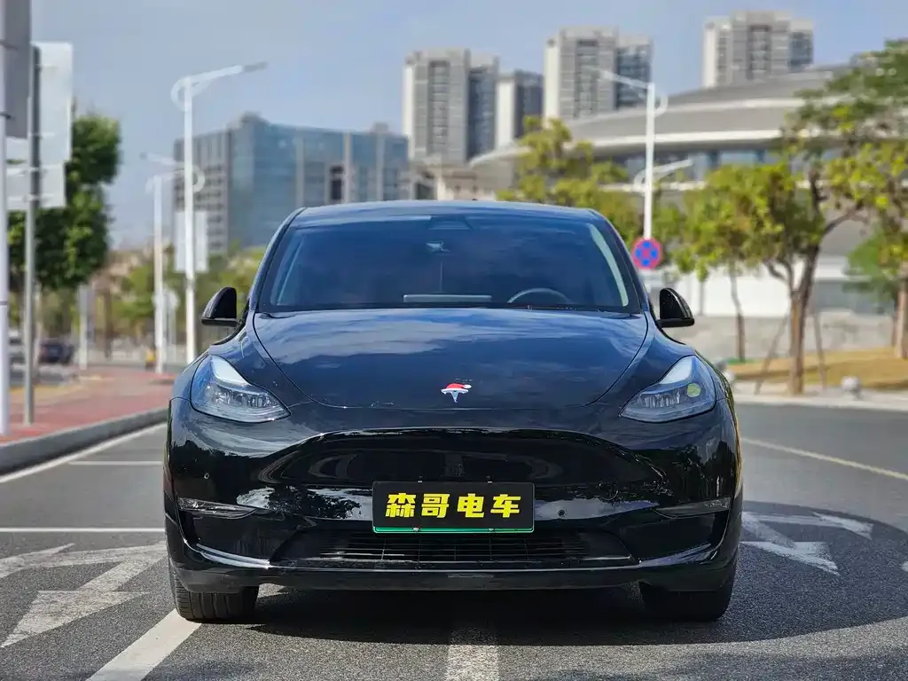 Tesla Model Y — фото 2
