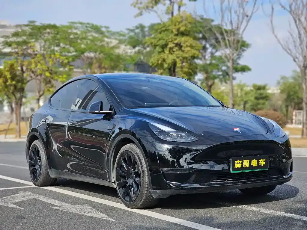 Tesla Model Y — фото 5