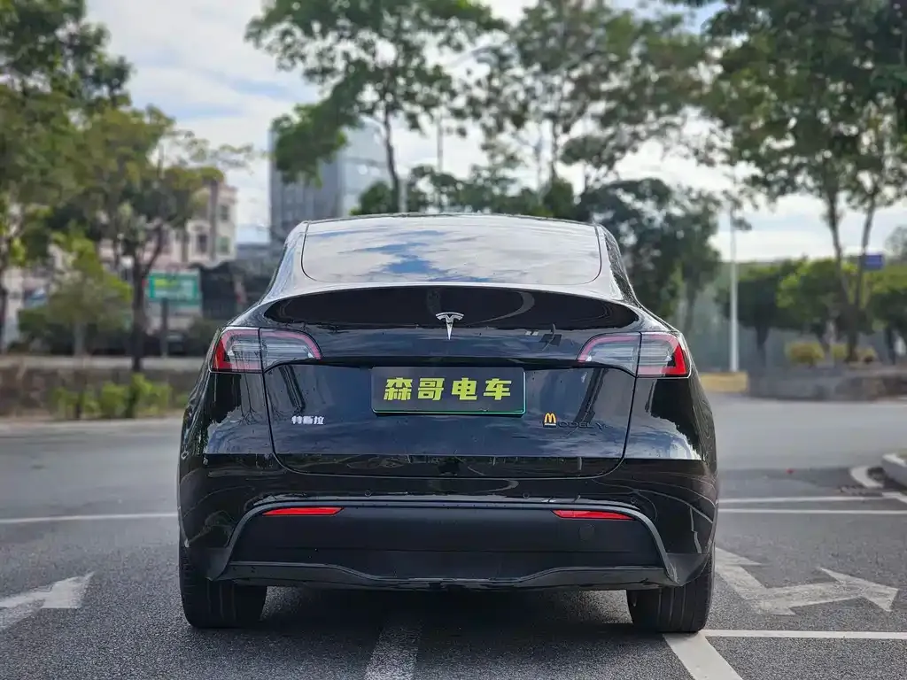 Tesla Model Y — фото 3