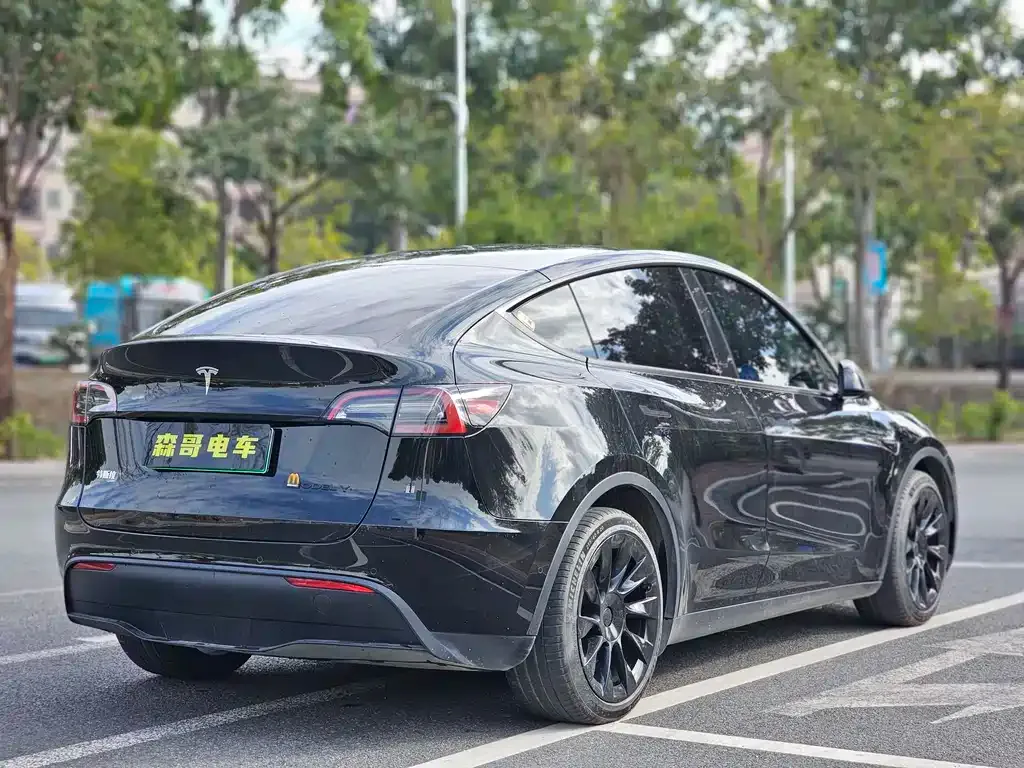 Tesla Model Y — фото 7