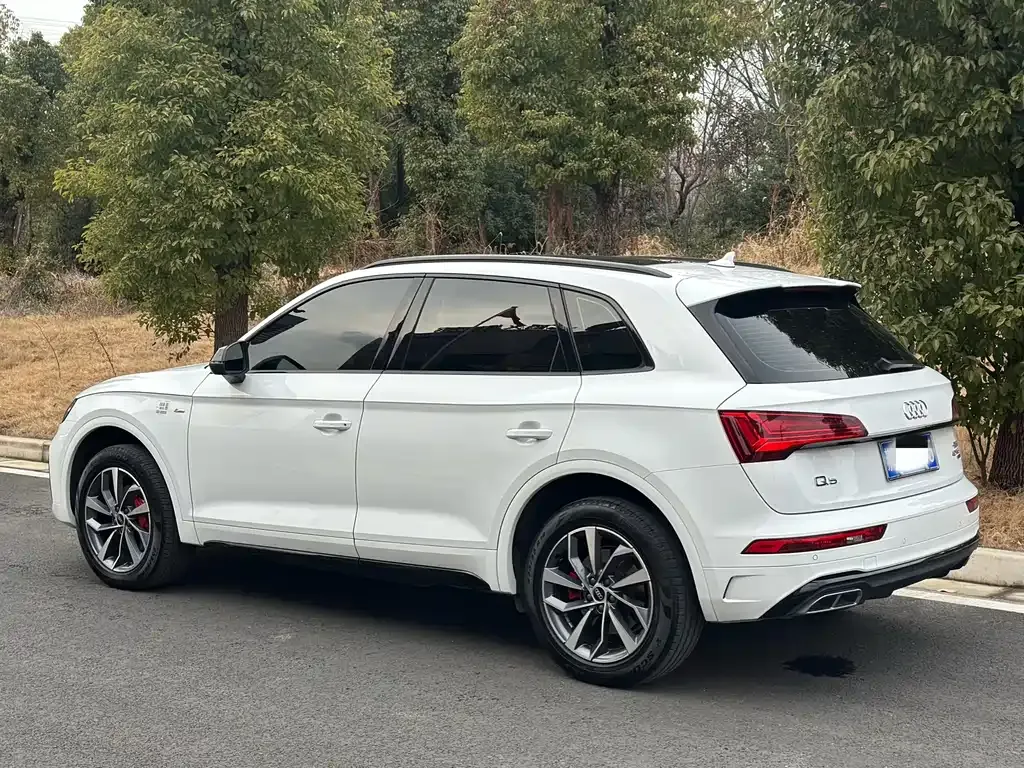 Audi Q5L 2024 из CN, фото 7