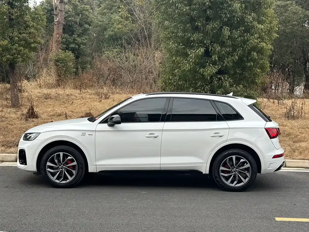 Audi Q5L 2024 из CN, фото 9