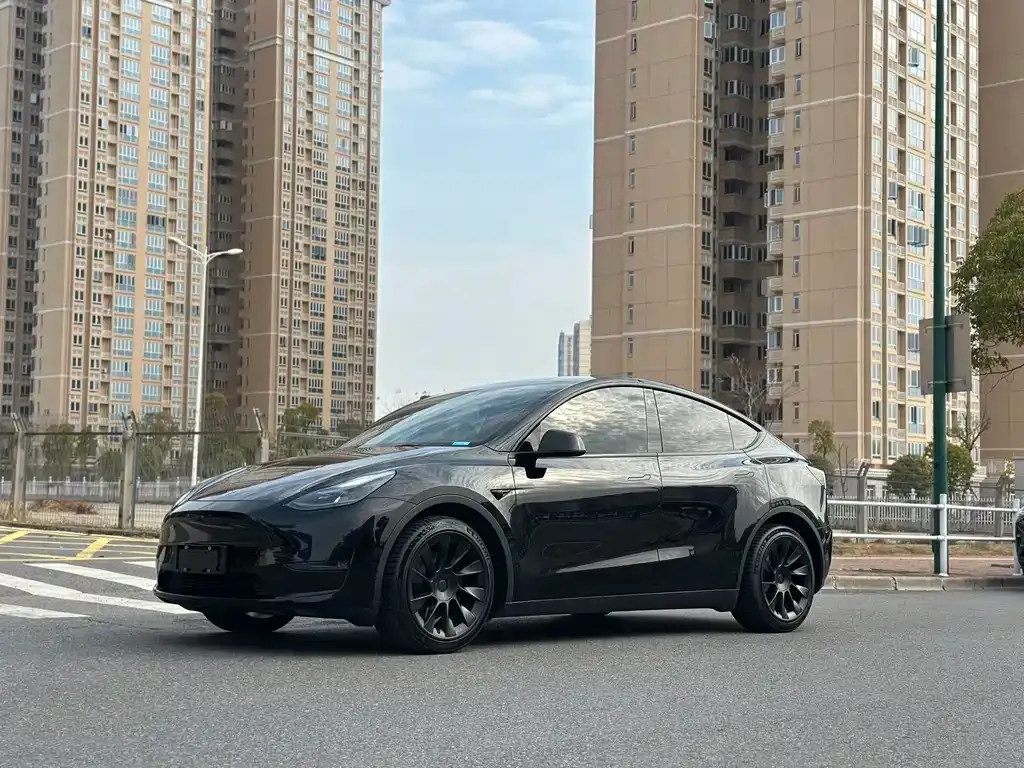 Tesla Model Y 2021 из CN, фото 1