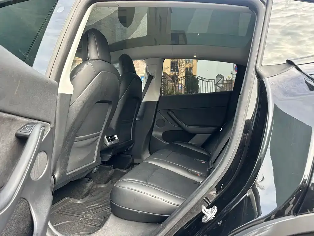 Tesla Model Y 2021 из CN, фото 4
