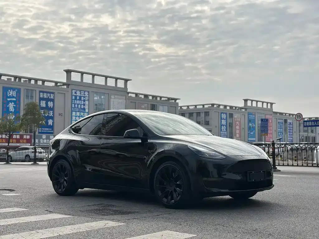 Tesla Model Y 2021 из CN, фото 6