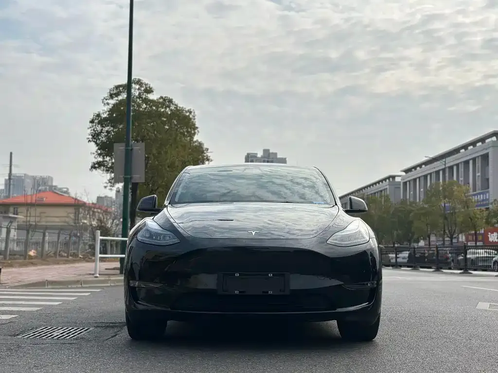 Tesla Model Y 2021 из CN, фото 2