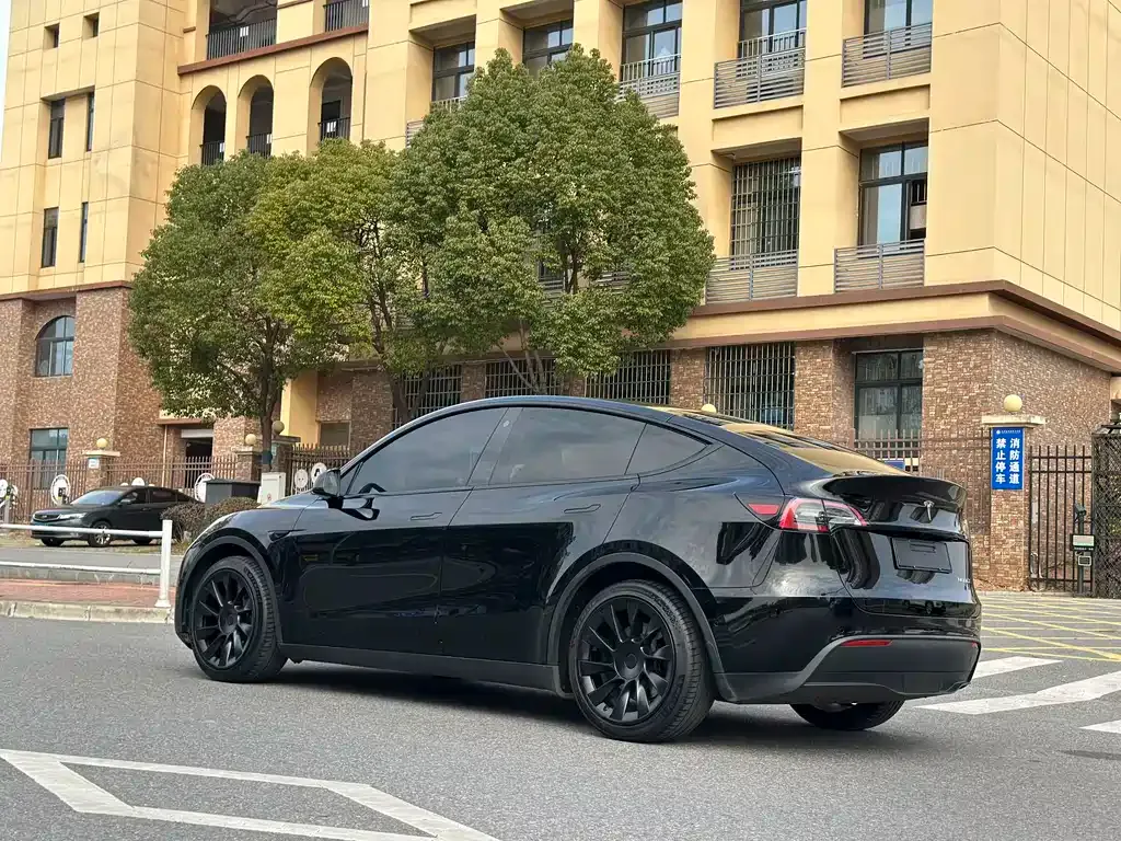 Tesla Model Y 2021 из CN, фото 10