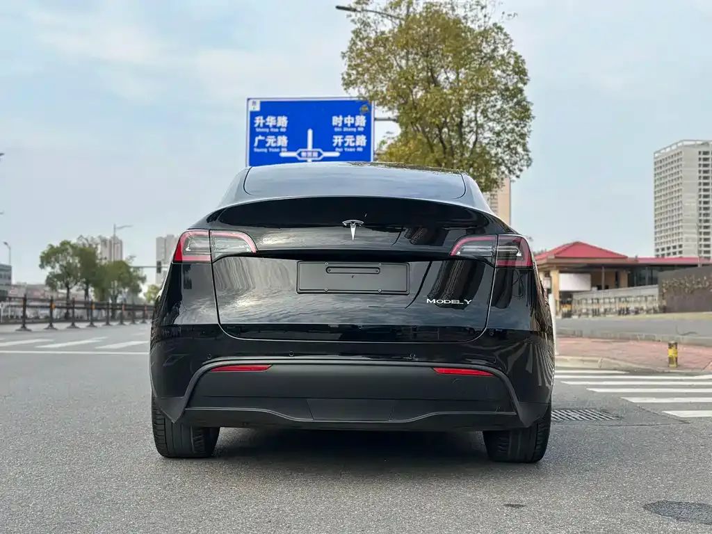 Tesla Model Y 2021 из CN, фото 7