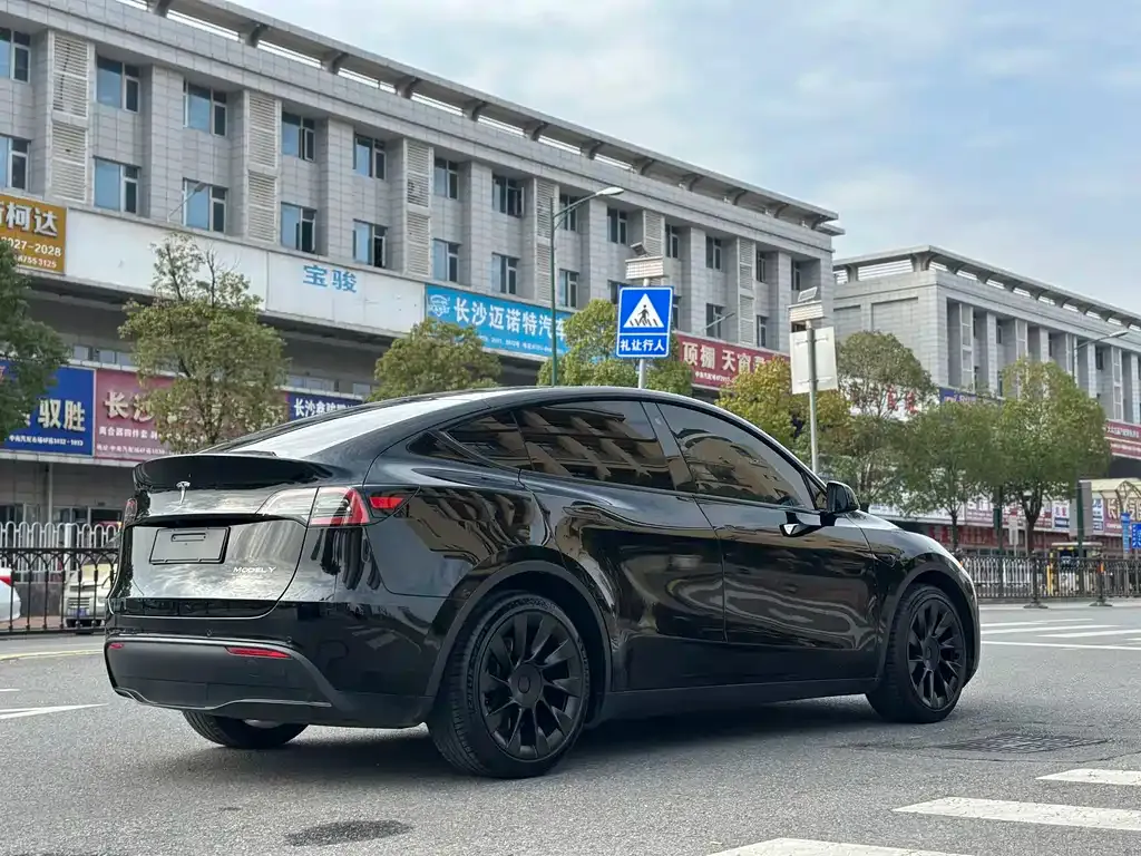 Tesla Model Y 2021 из CN, фото 9