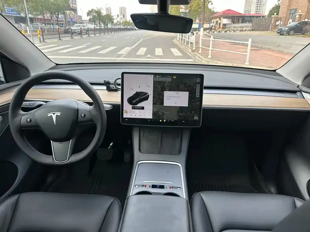 Tesla Model Y 2021 из CN, фото 5