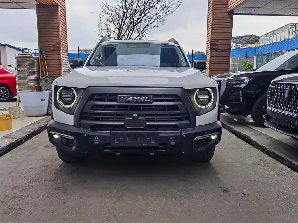 Haval Big Dog 2023 из CN, фото 3
