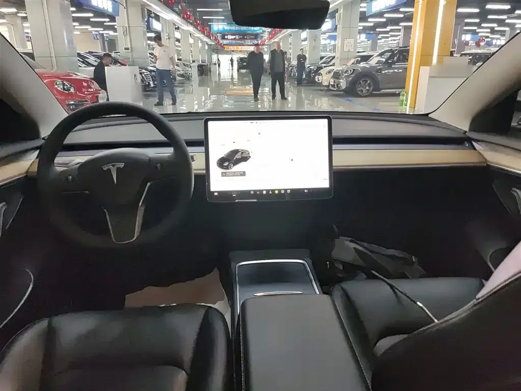 Tesla Model 3 2021 из CN, фото 4