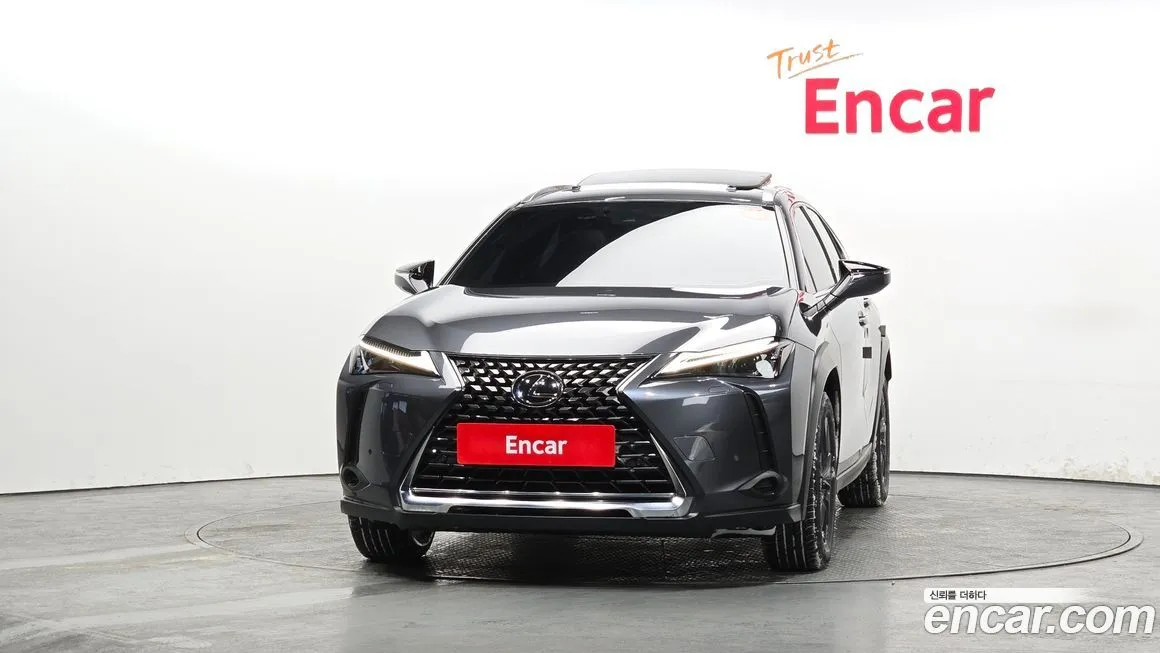 Lexus UX 2024 из KR, фото 7