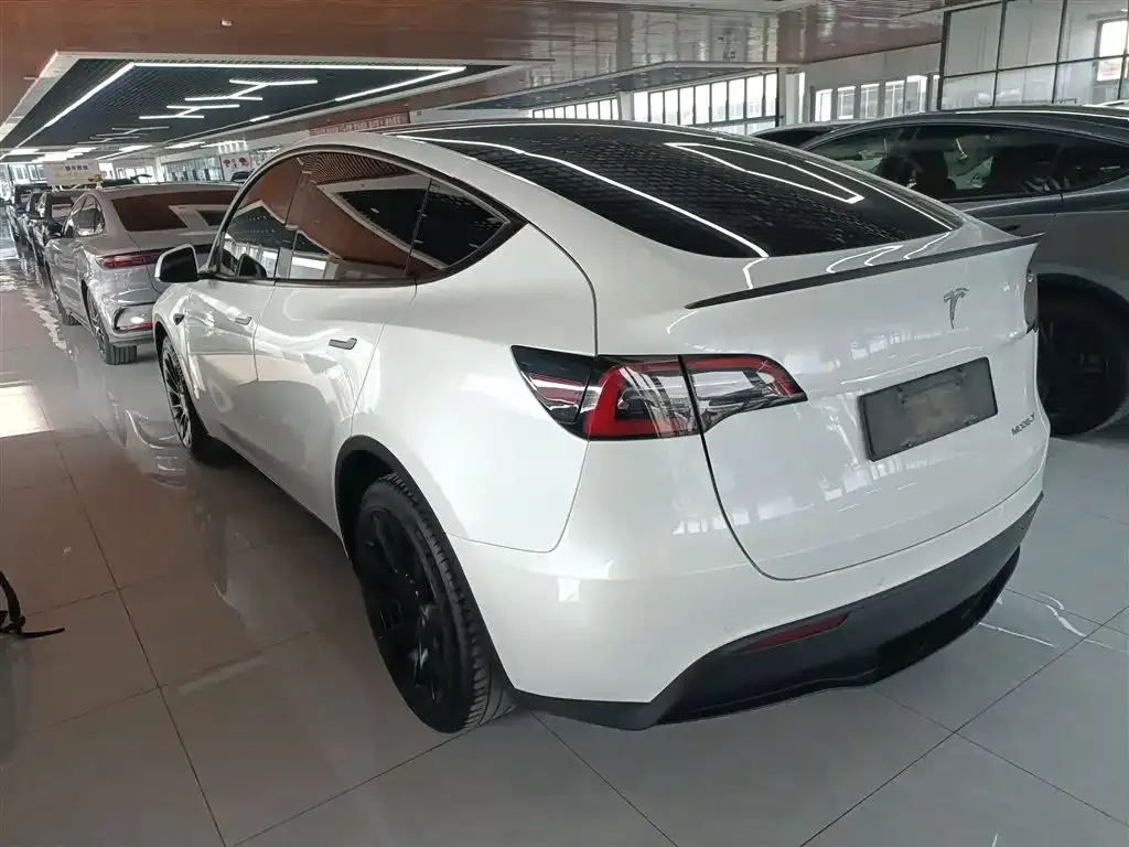 Tesla Model Y — фото 6