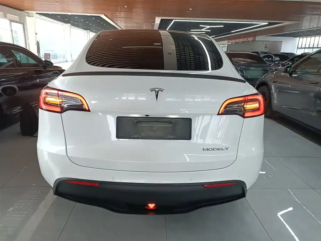 Tesla Model Y — фото 8