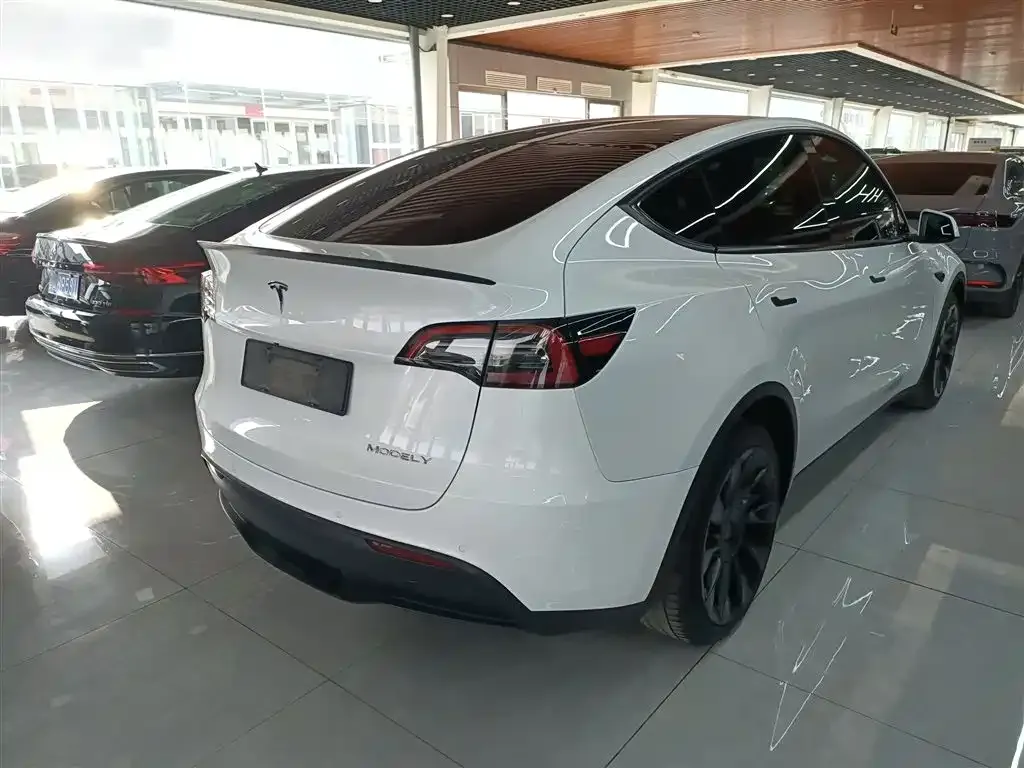 Tesla Model Y — фото 2
