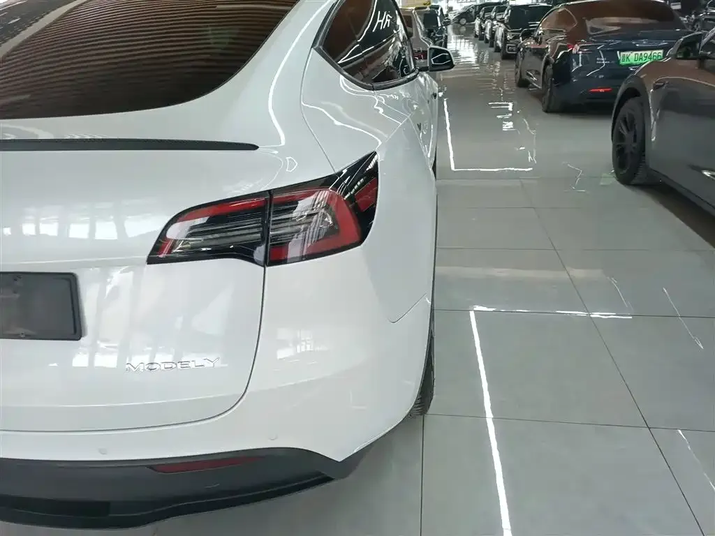 Tesla Model Y — фото 3