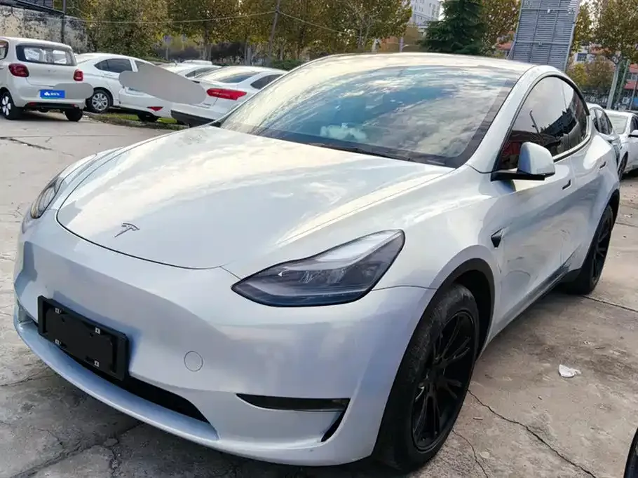 Tesla Model Y — фото 1