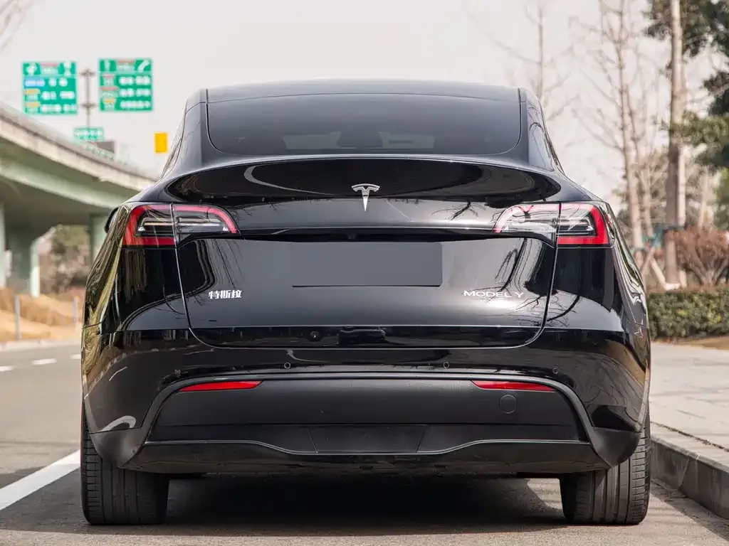 Tesla Model Y — фото 10