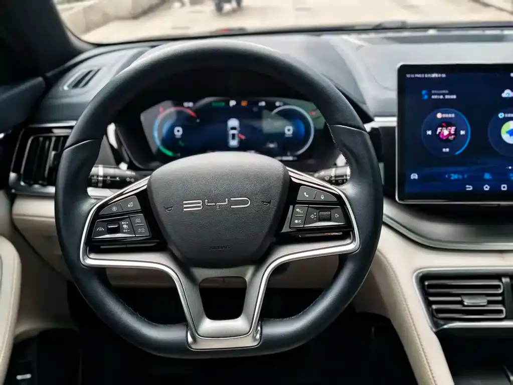 BYD PLUS New Energy 2024 из CN, фото 8
