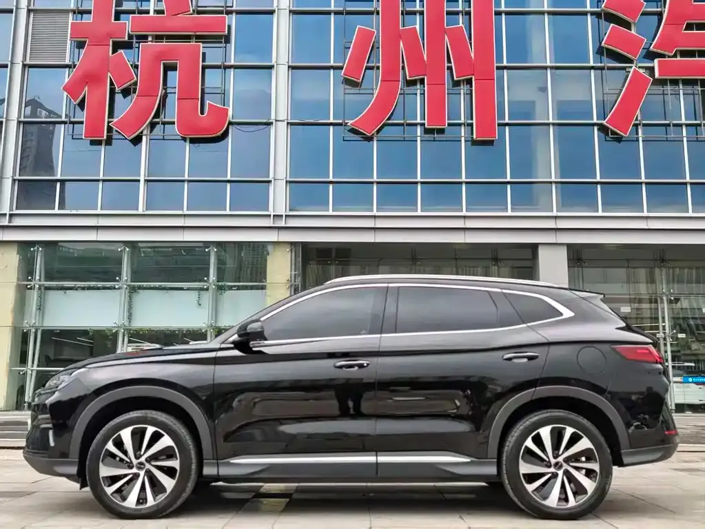 BYD PLUS New Energy 2024 из CN, фото 5