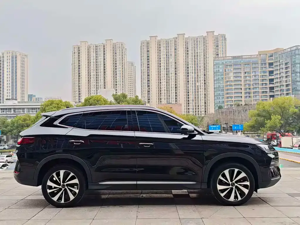 BYD PLUS New Energy 2024 из CN, фото 4