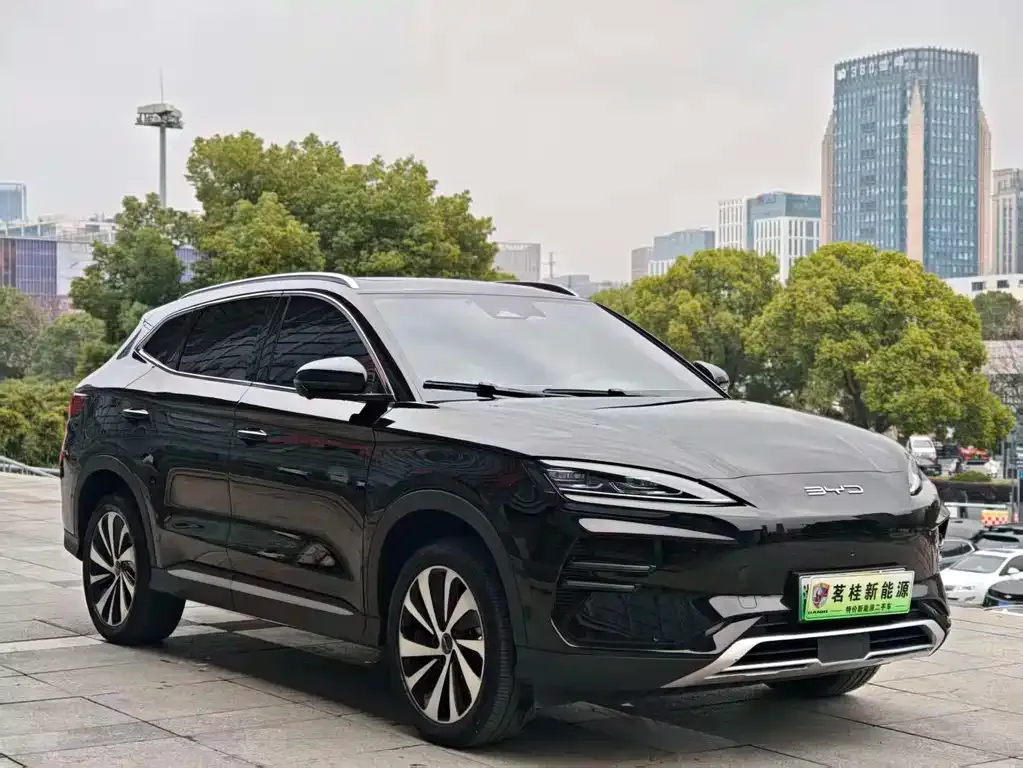 BYD PLUS New Energy 2024 из CN, фото 10