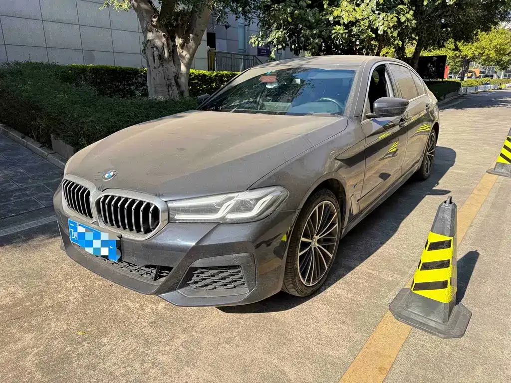 BMW 5 Series 2021 из CN, фото 1
