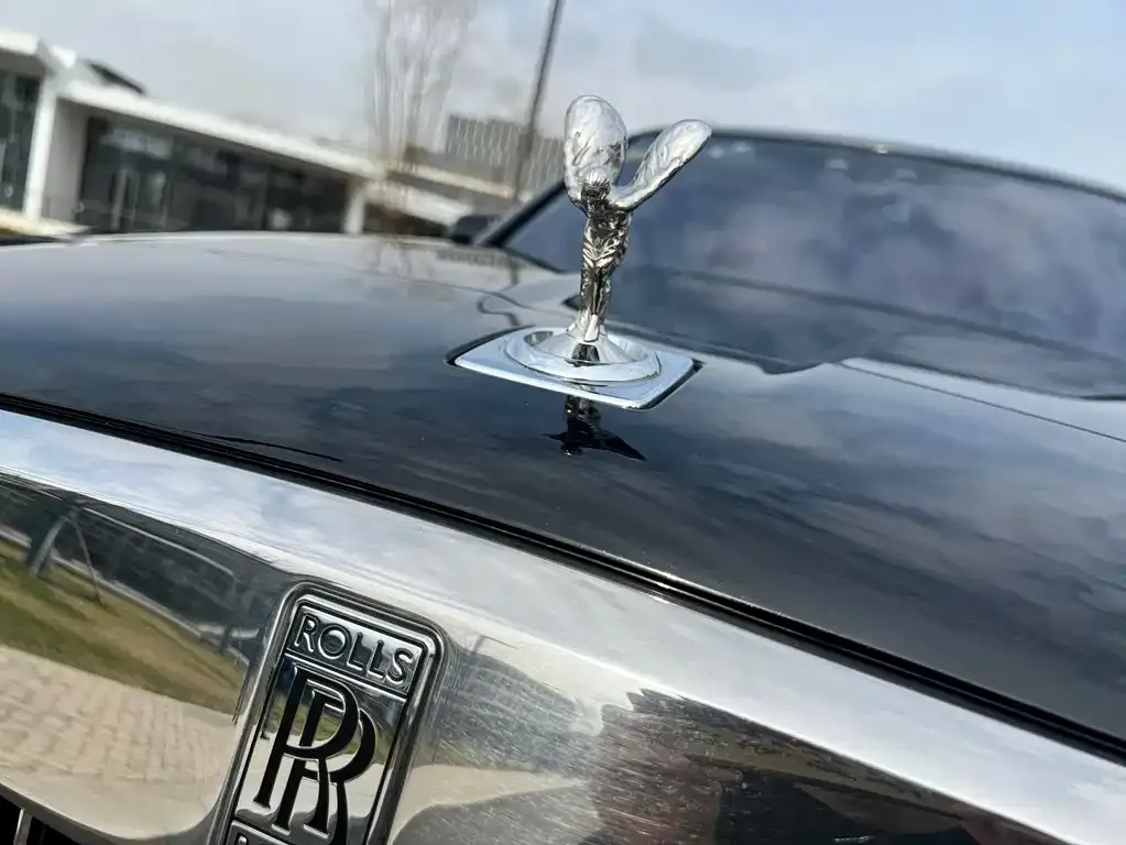 Rolls-Royce Cullinan 2021 из CN, фото 6